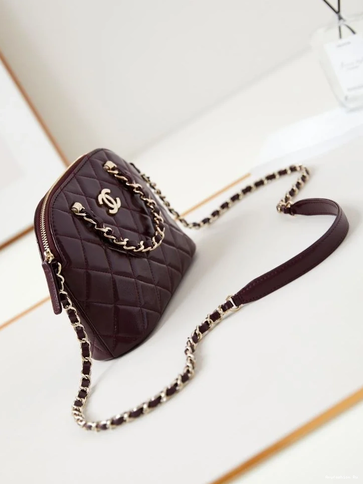 53907 Other EyeCatching Chanel Stachel Bags 0627